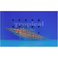 LONGNOSE HAWKFISH